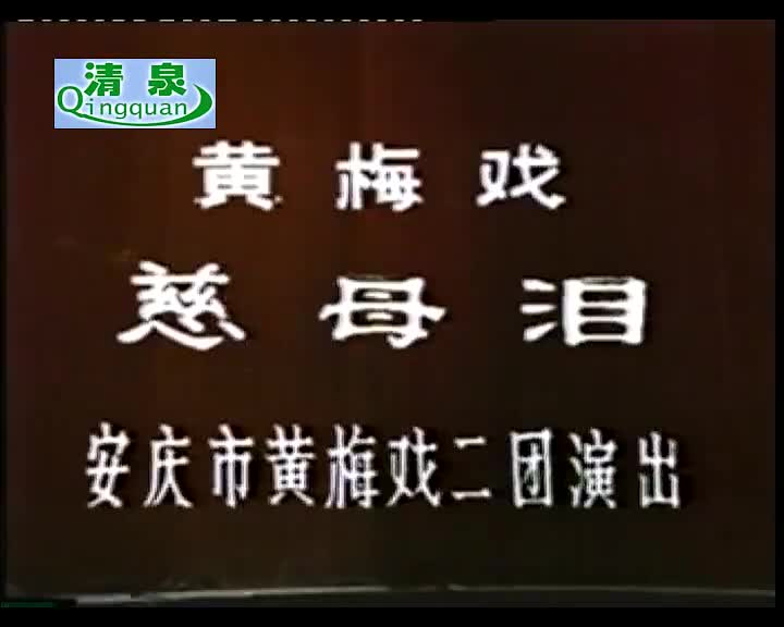 黄梅戏《慈母泪》刘广慧 严桂兰