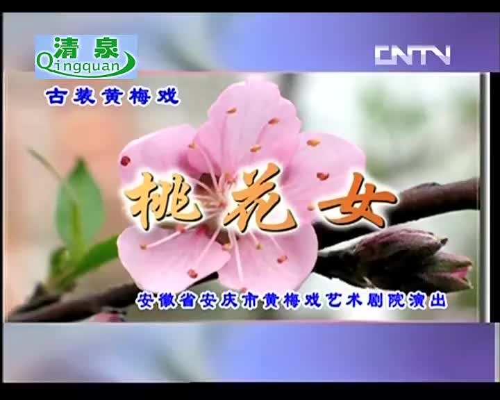 桃花女赵媛媛 董家林