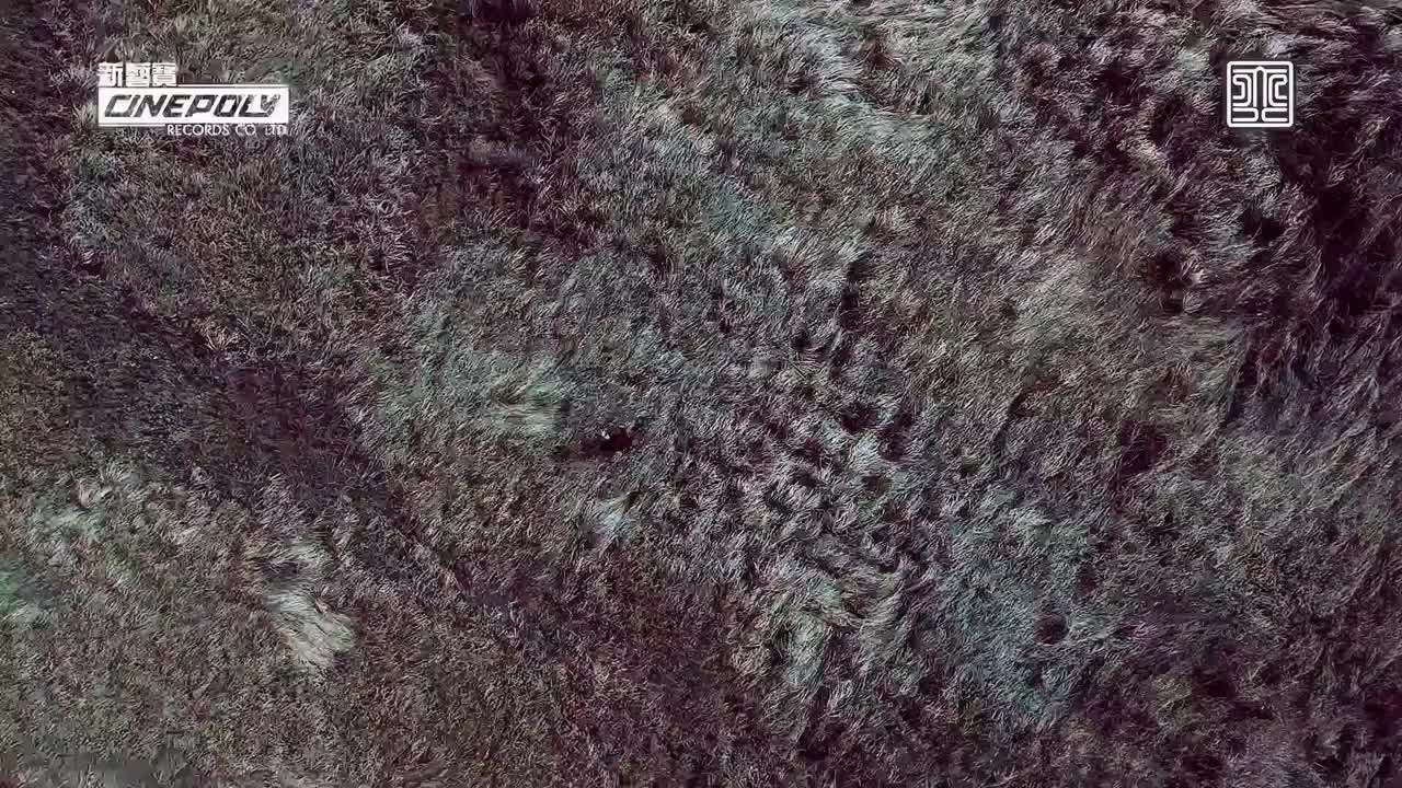 4K - 陈奕迅 - 无条件（伴奏版）