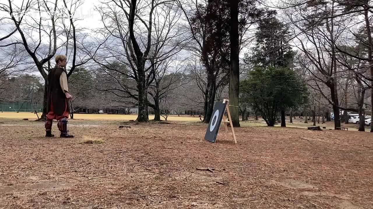 【暗器】迈步反手掷出