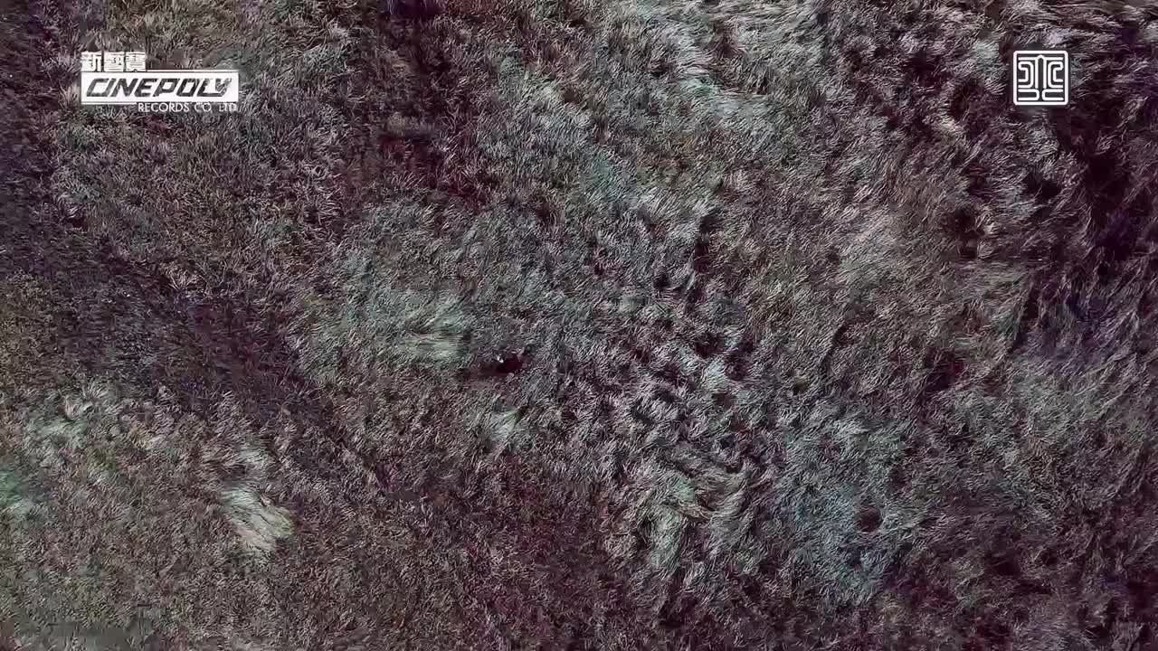 4K - 陈奕迅 - 无条件