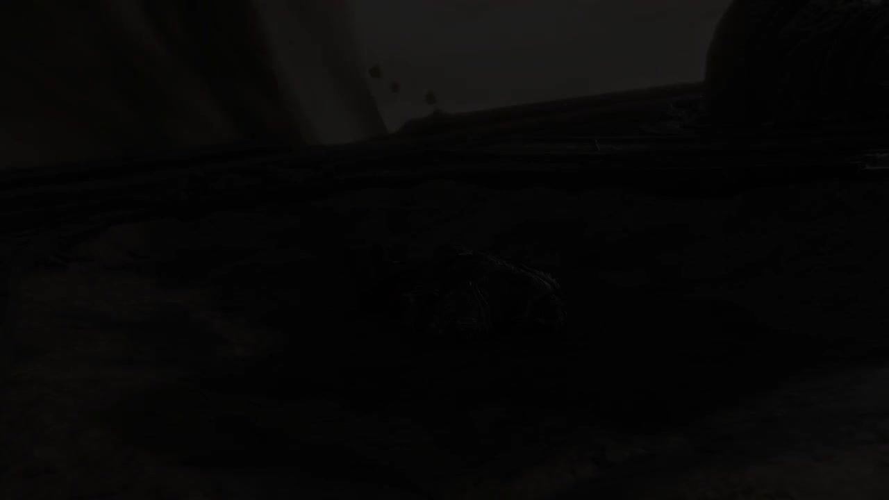 龙王普拉顿桑克斯 出场动画