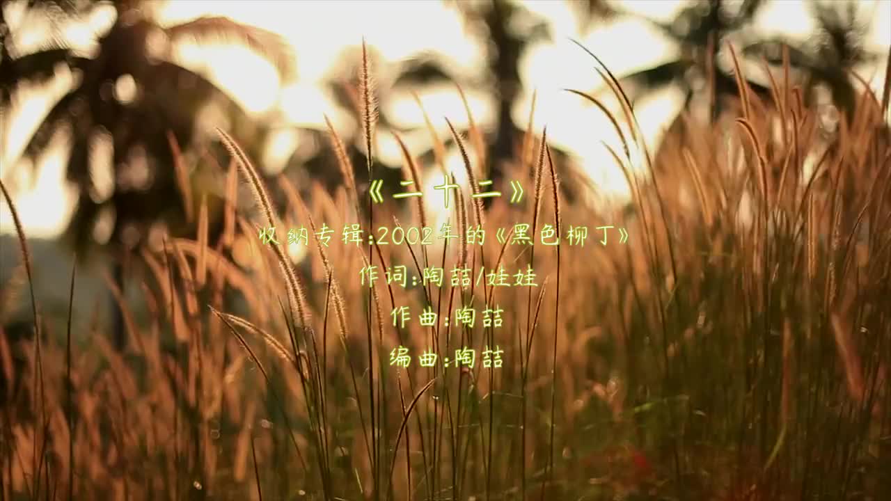 36 二十二【专辑：黑色柳丁】