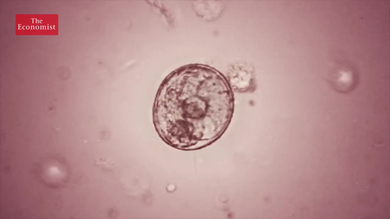 【2022.3.17】6. Gene editing - should you be worried 基因编辑，我们需要担心么？