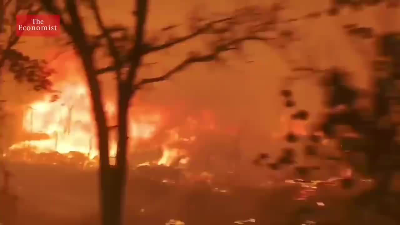 【2022.1.21】99. How can business survive climate change_[官网同步][手工字幕校对+解释]