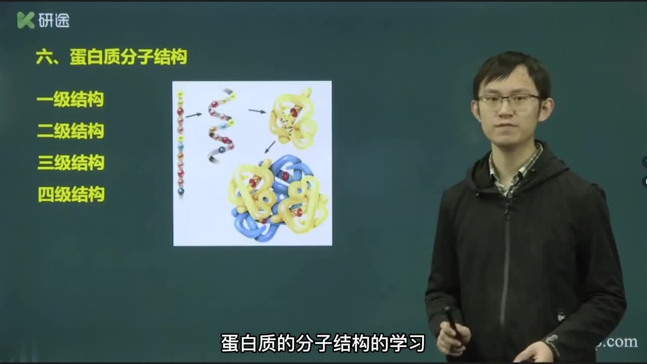 第一章 蛋白质的结构与功能 -3