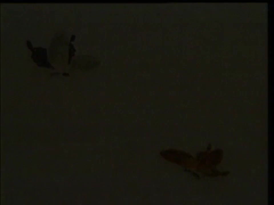 黄梅戏《梁山伯与祝英台》03