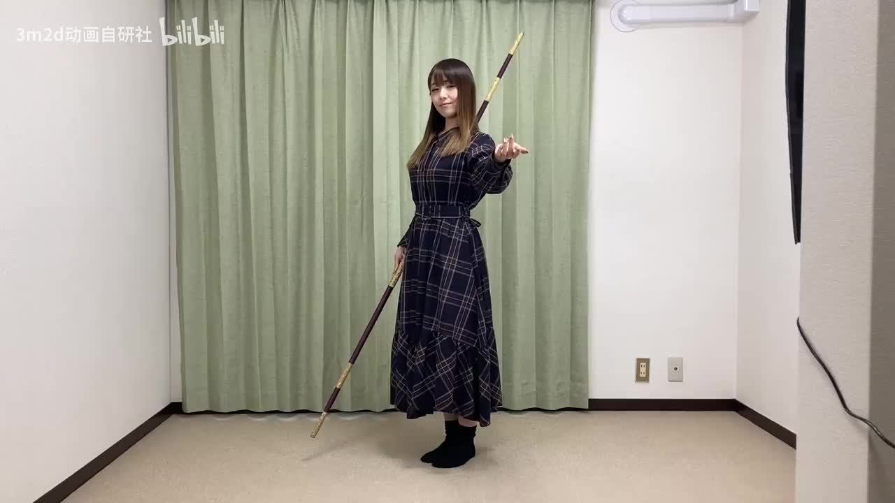 【战斗待机】长武器 Pose idle Animation Reference