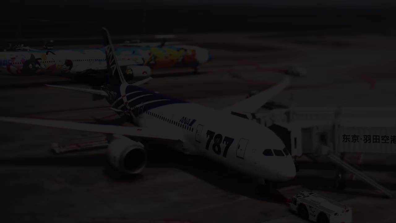 空中浩劫16-10 Afghan Nightmare 美国国家航空102号班机 2013