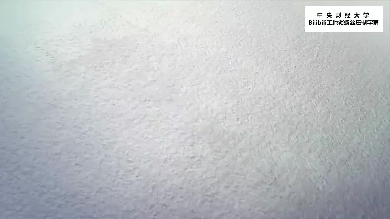 22.[11.1.1]--8.1投资者情绪与资产价格过度波动