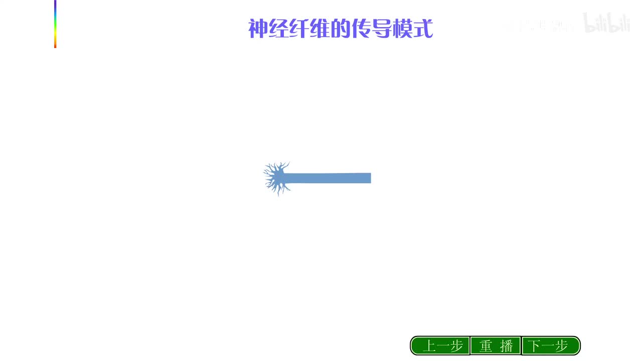 18.神经纤维的传导模式