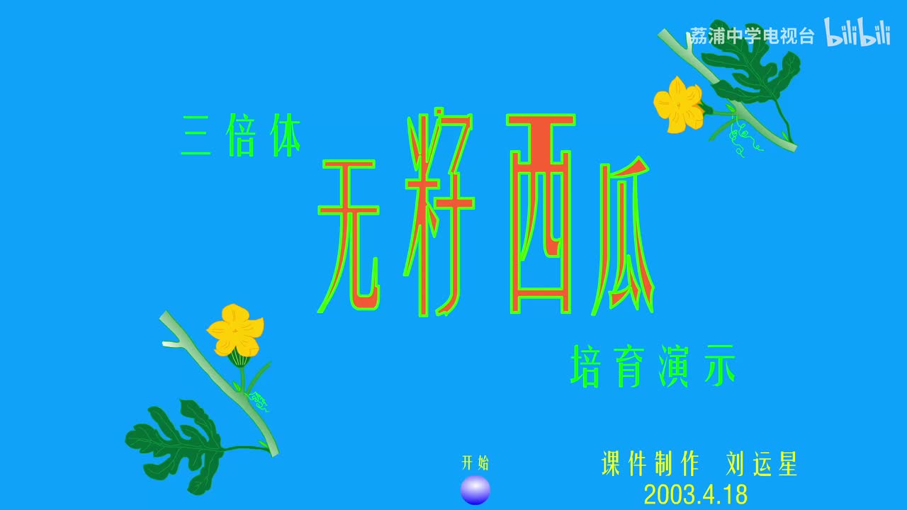 15.三倍体无籽西瓜的培育