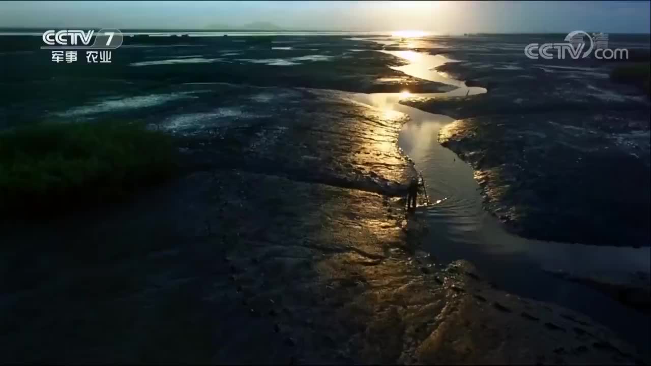 《鲜味的秘密》 01集 鲜味国度