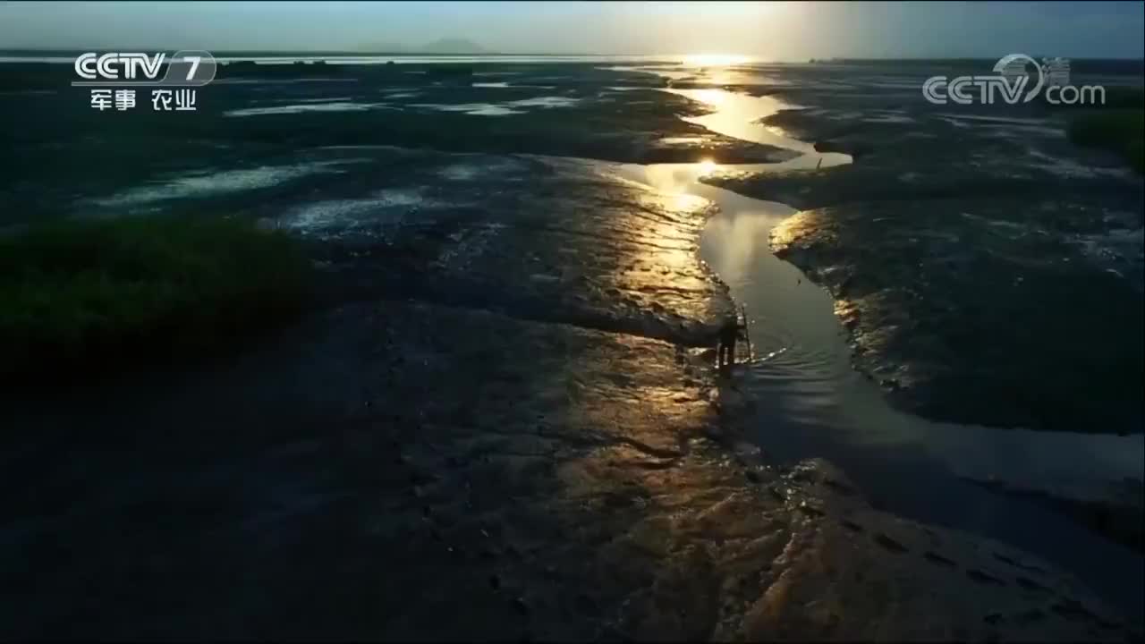 《鲜味的秘密》 04集 活色生鲜