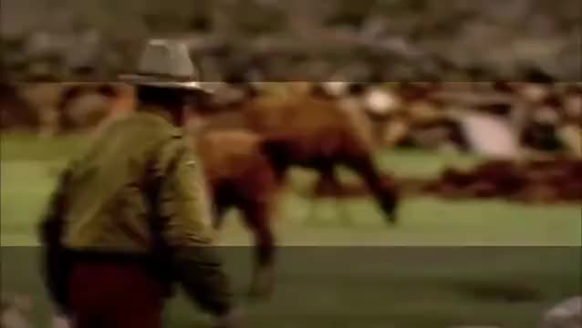 第3集：股票市场：泡沫的产生