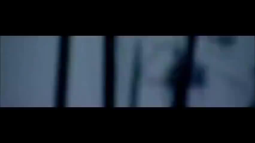 第4集 保险：风险对抗