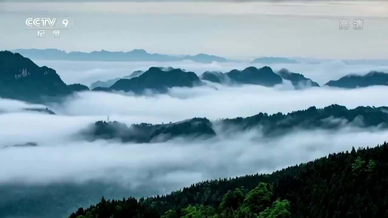 《大美中国.春天系列》12集 春天的海南