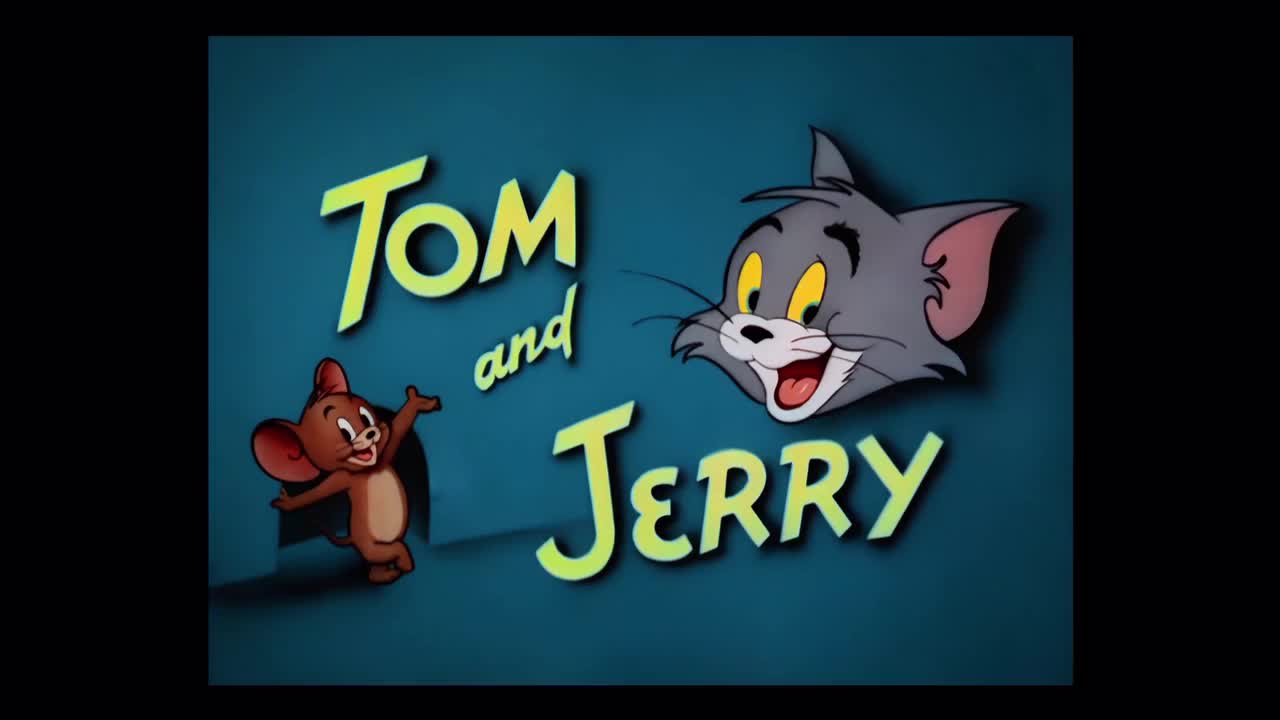 11-3 可爱的小猫