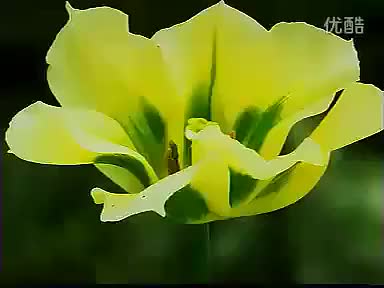 《乞丐状元》下集