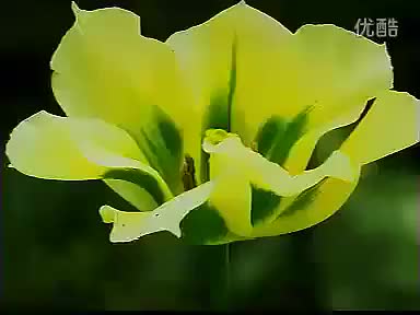 《乞丐状元》上集