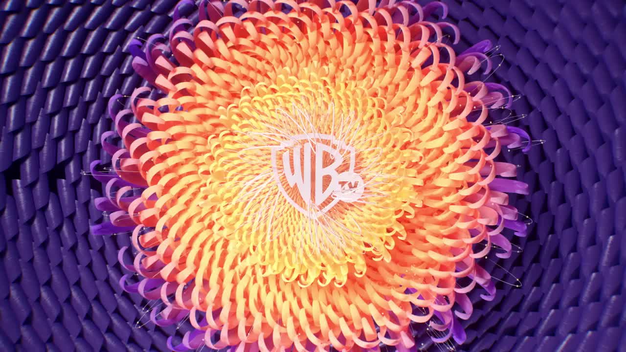 原片：WARNER TV - IDENTS