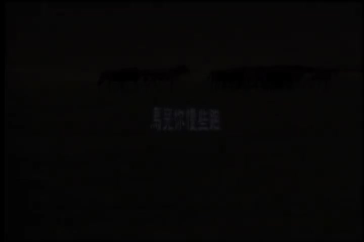 马儿啊你慢些走