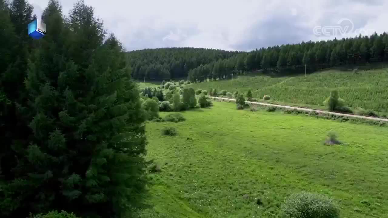 《三代务林人徒手将荒漠变绿洲：谱写50多年的造林传奇——塞罕坝》by【航拍中国·第三季】