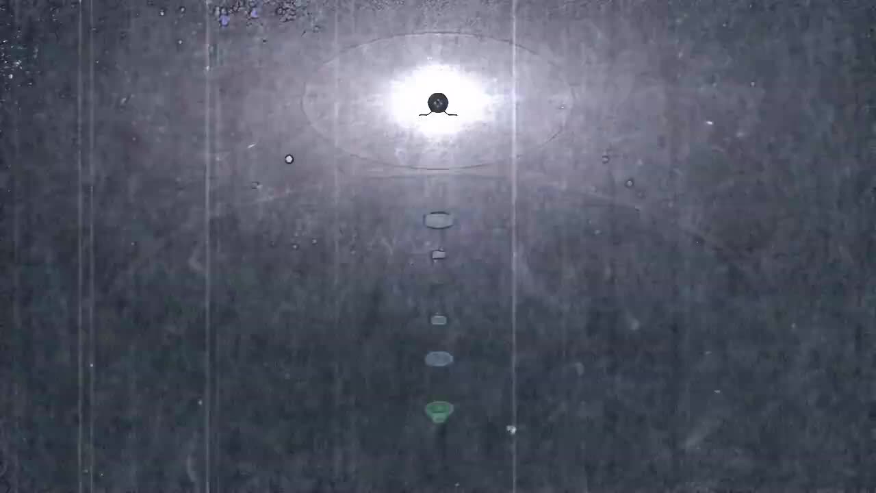 石头门:比翼恋理 OP (Xbox360)