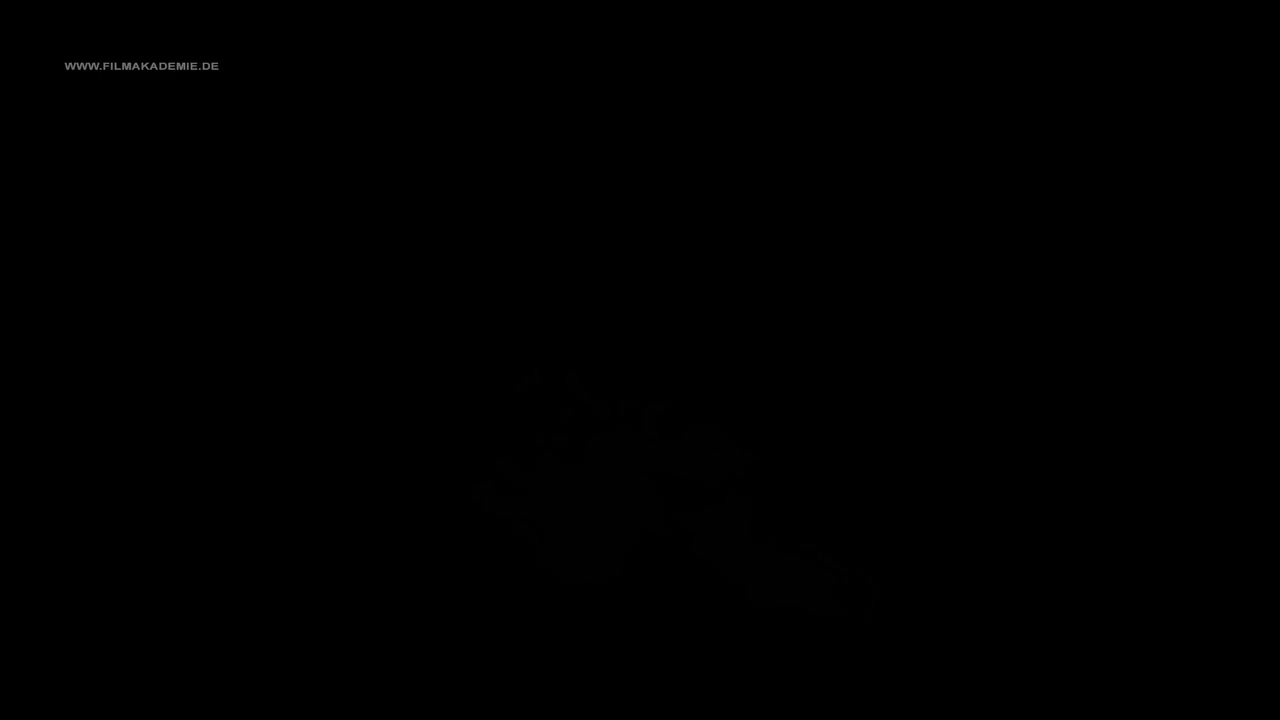 球形精灵的兴衰_The Rise and Fall of Globosome