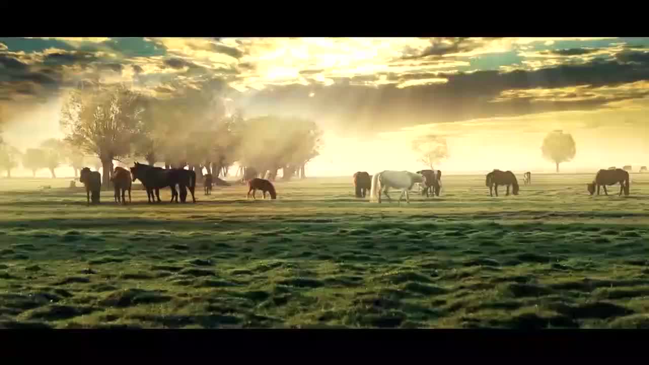 《鄂尔多斯旅游发展委员会宣传片》