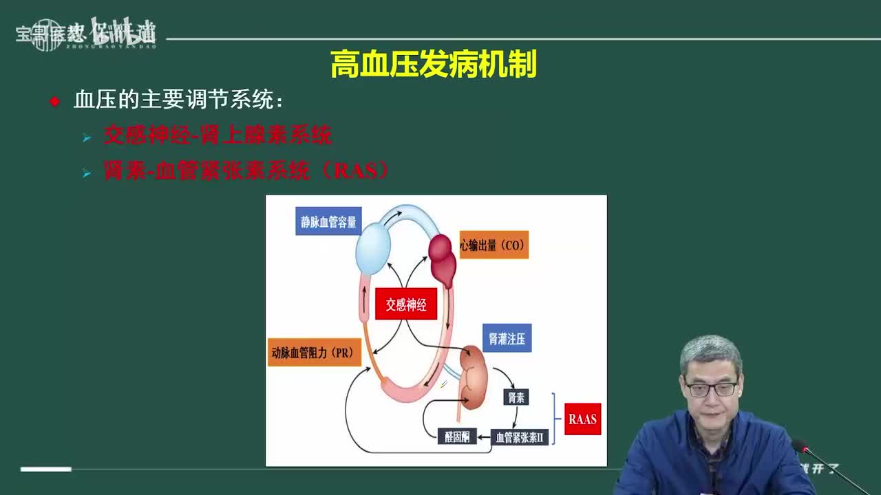 第二十五章 抗高血压药2