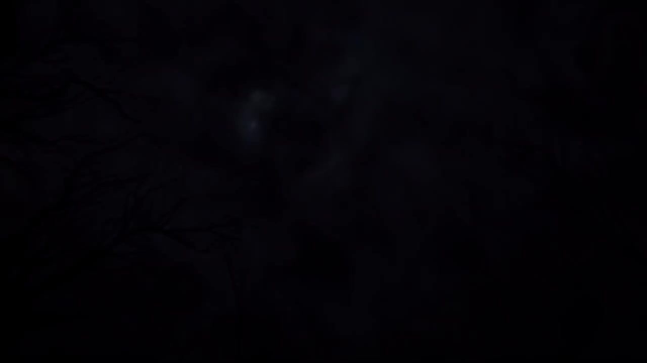 【完结篇/无字幕】ED1：with you / AAA