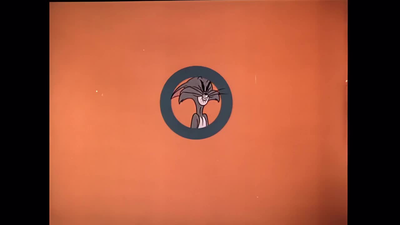 13-3 太阳系的猫叫声（查克琼斯）