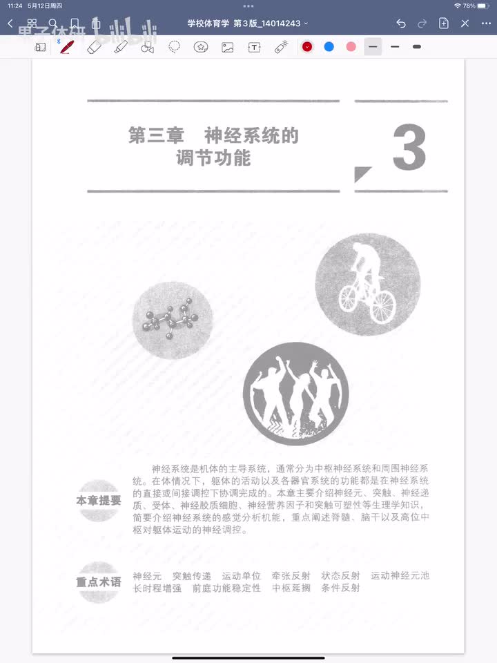 第三章 神经系统的调节功能