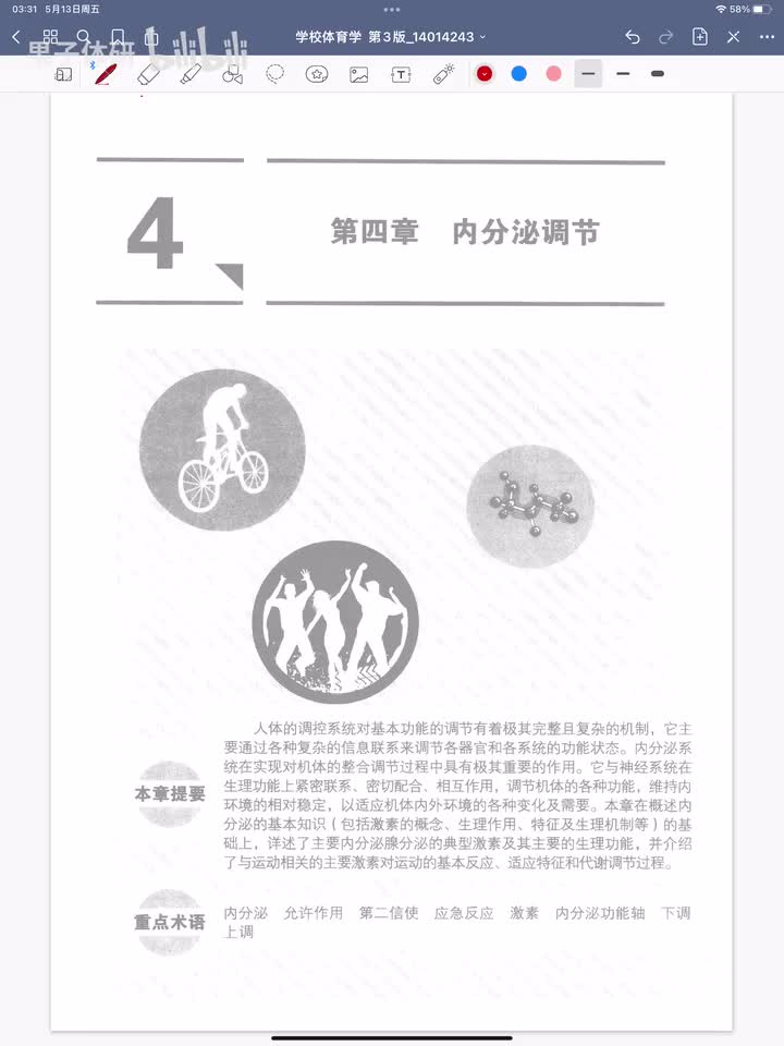 第四章 内分泌调节