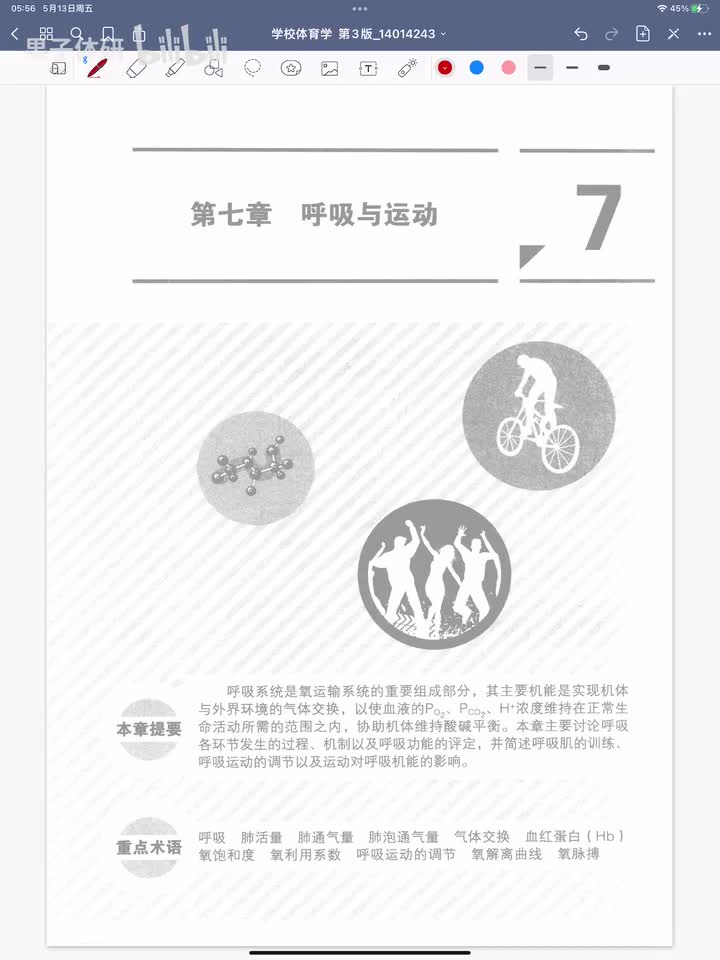 第七章 呼吸与运动