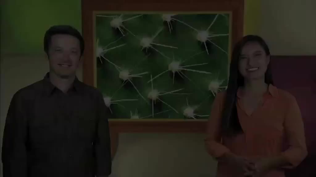 ow2e_l5u6_ame_02_Vocabulary_1a