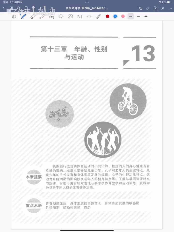 第十三章 年龄、性别与运动