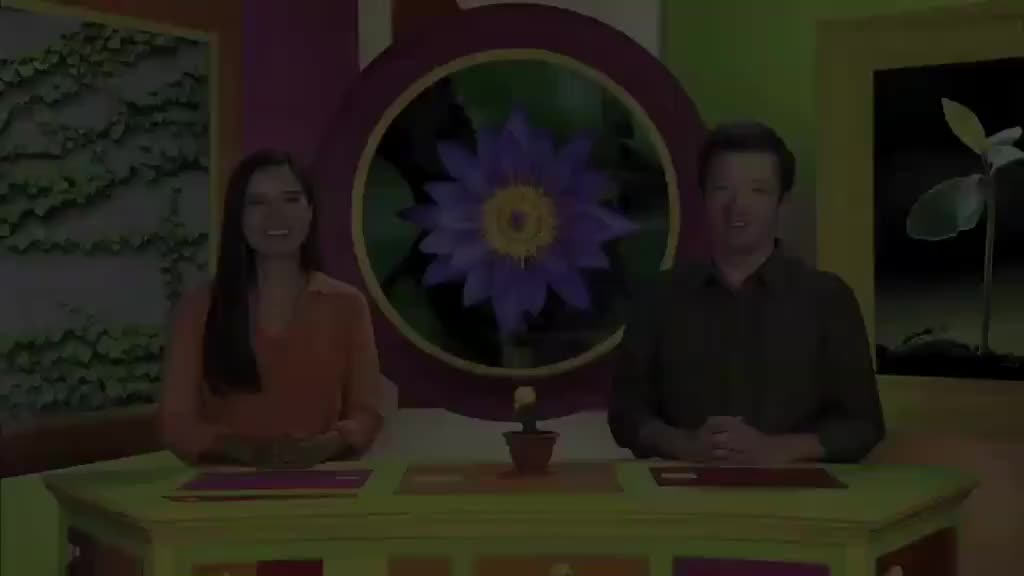 ow2e_l5u6_ame_11_Wrap_up