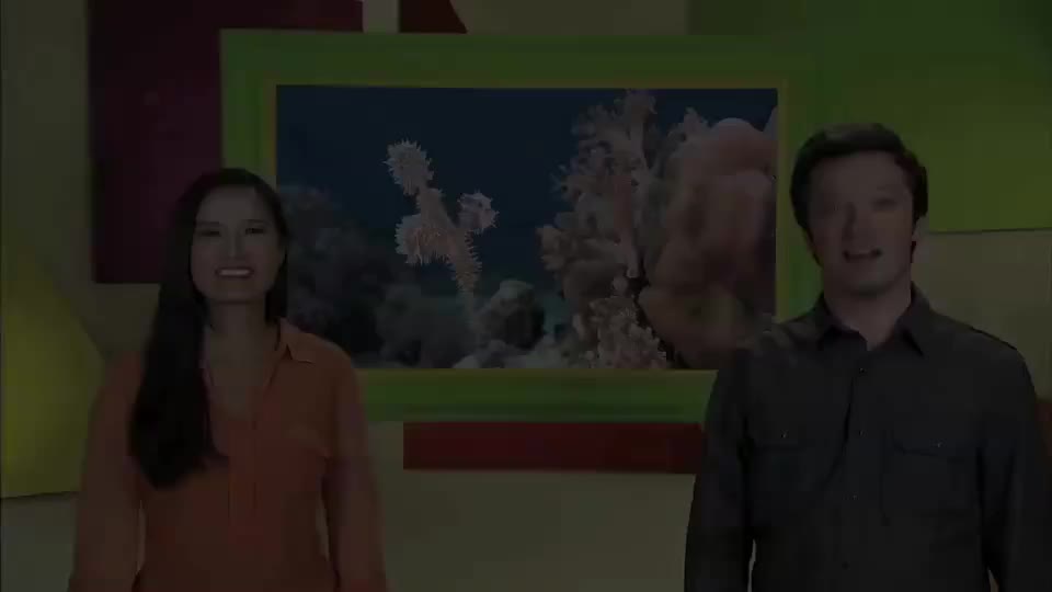 ow2e_l5u2_ame_08_Viewing