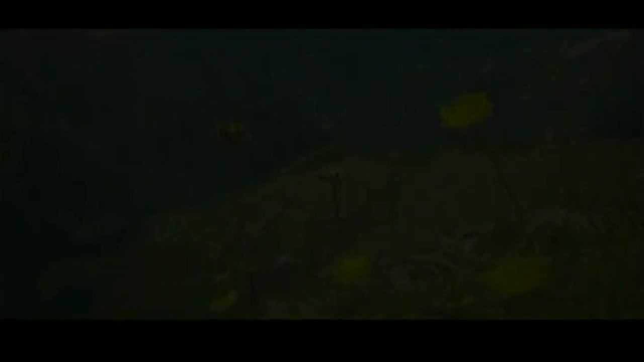 亚东 - 姑娘走过的地方