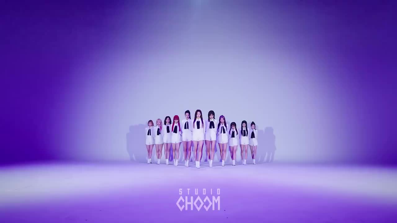 Secret Story of the Swan