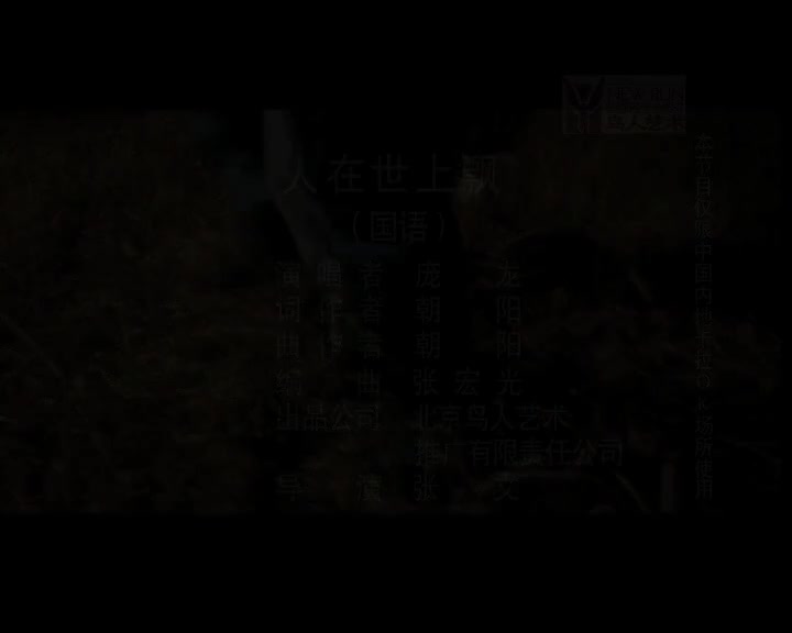 庞龙-人在世上飘-国语-流行