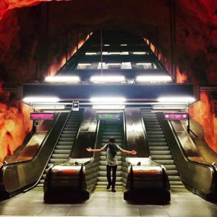 无畏无惧（闪光Live版和声伴奏）