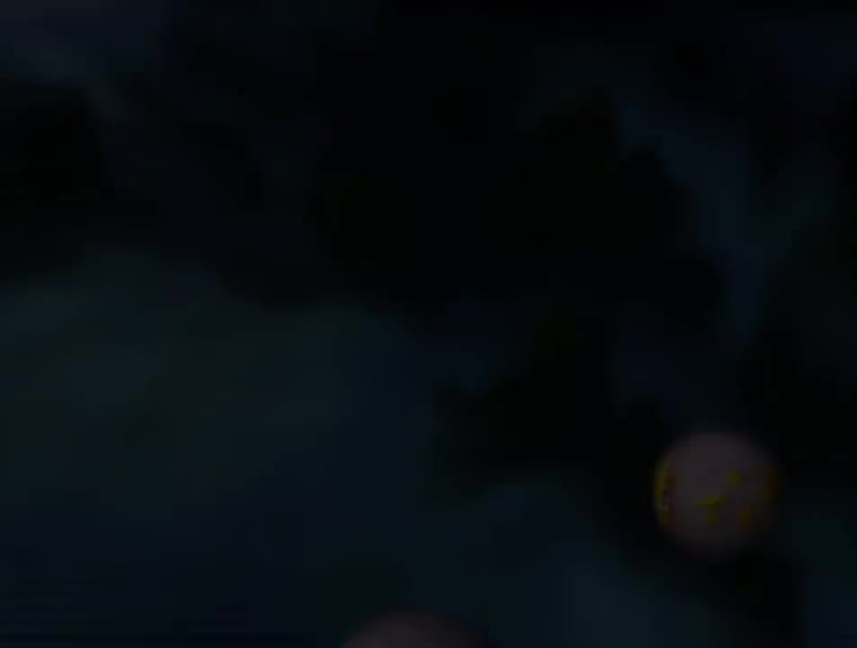 第11集 制服黑熊妖