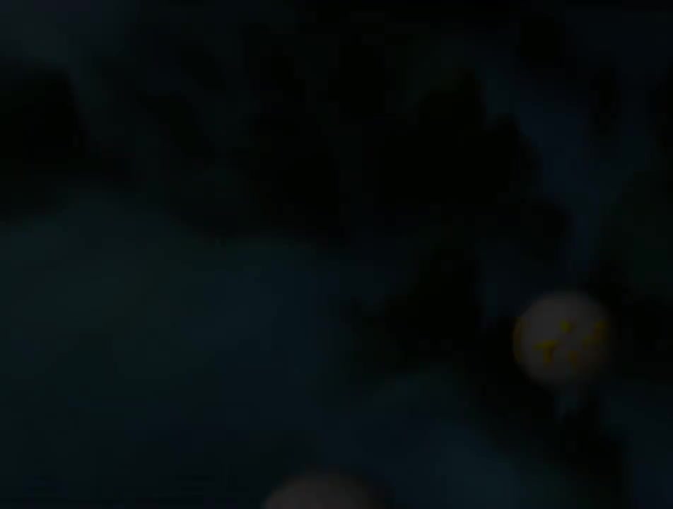 第39集 金光塔平冤