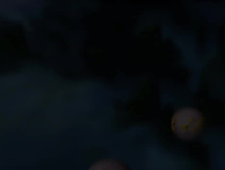 第24集 乌鸡国除妖