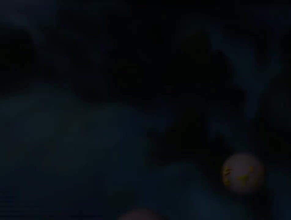 第47集 填平无底洞