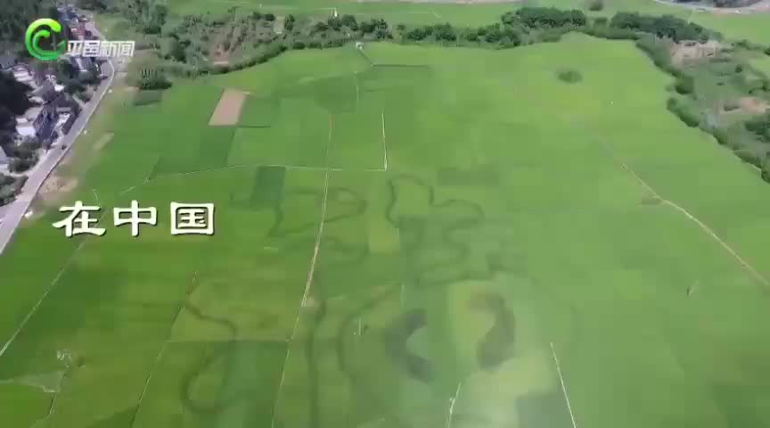 平邑新闻频道