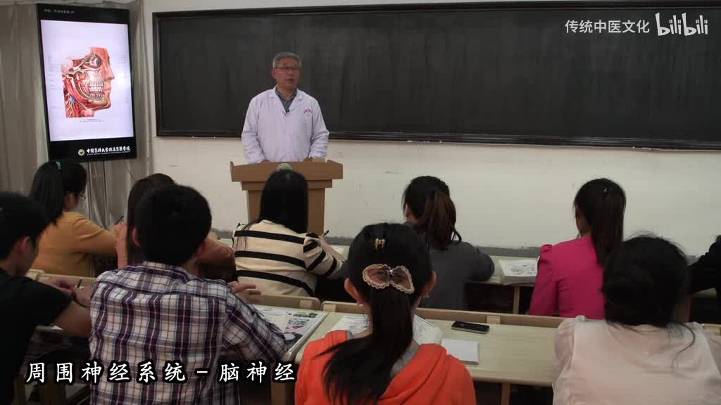 55-解刨学-周围神经系统-脑神经